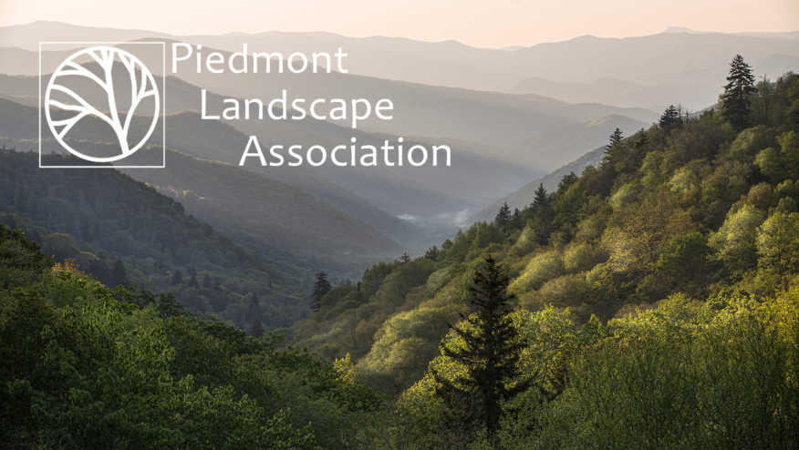 A view of mountains with green trees. Text reads, 